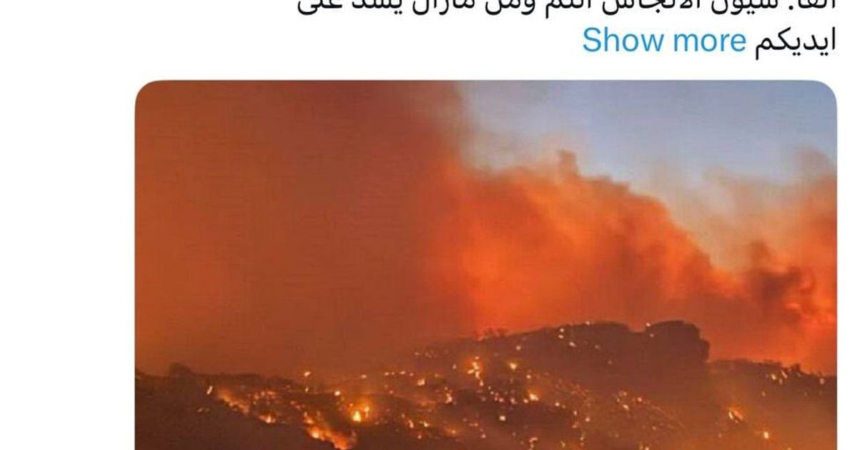 هل أن تكون مغفلاً هو شرط أساسي لتكون ذبابة جولانية ؟؟