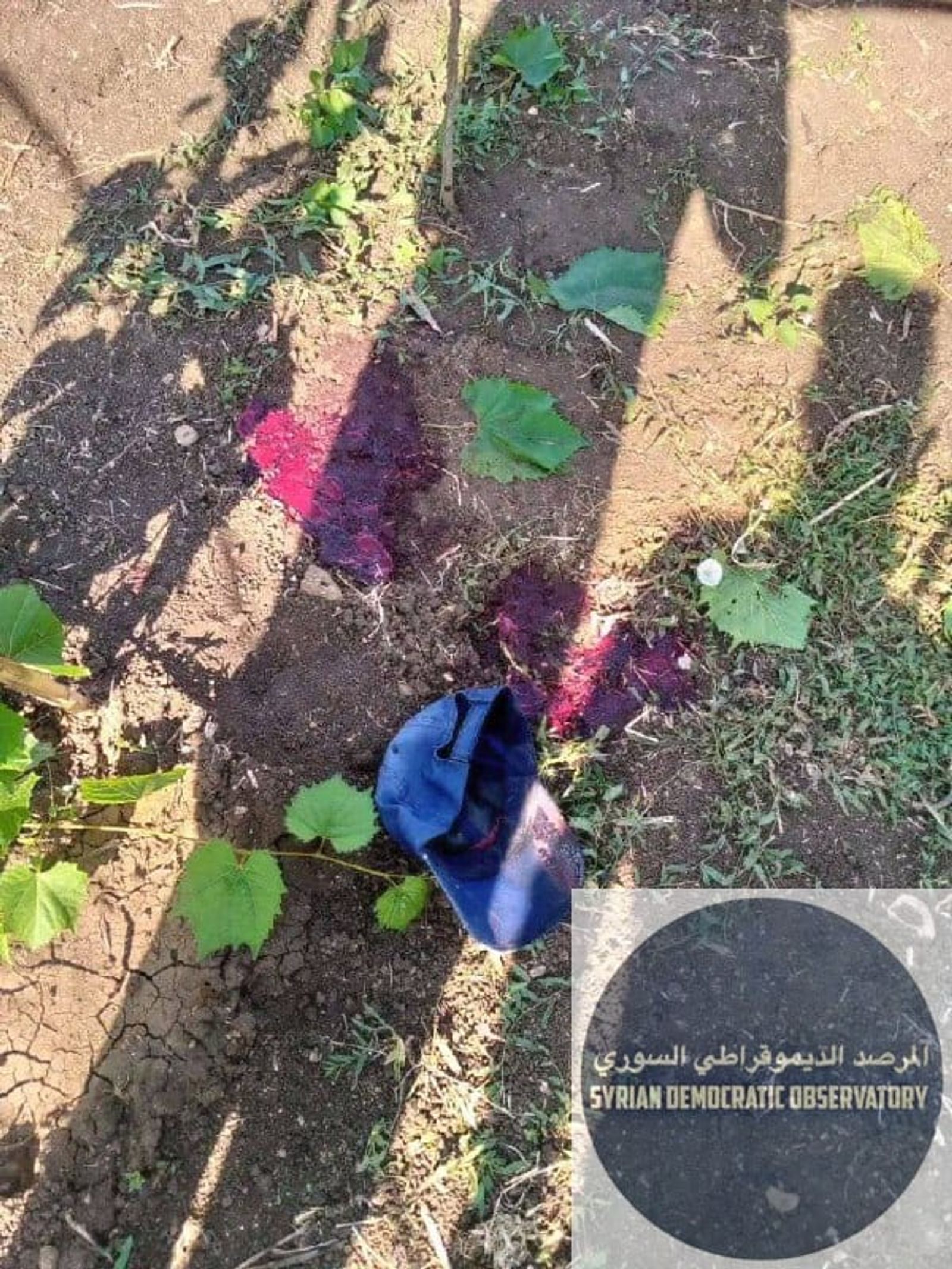 ريف جبلة | قرية البرجان: استشهاد الشاب عامر أمون وإصابة الشاب بيهس أمون بجروح خطرة، بعد تعرضهم لإطلاق نار من قبل ميليشيات الأمن العام التابعة لتنظيم هيئة تحرير الشام الإرهابي أثناء عملهم بأرضهم الزراع