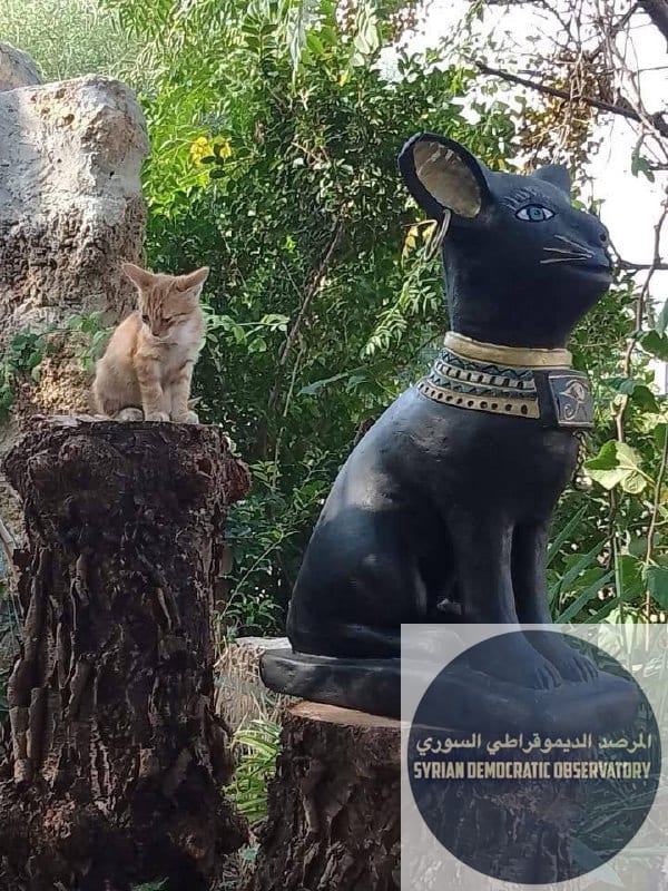 طرطوس : تعرض معرض الفنان التشكيلي حسن عزيز محمد في مدينة طرطوس لهجوم من مجموعة تكفيرية متشددة قامت بتحطيم منحوتاته بتهمة أن "الأصنام هي كفر"!!