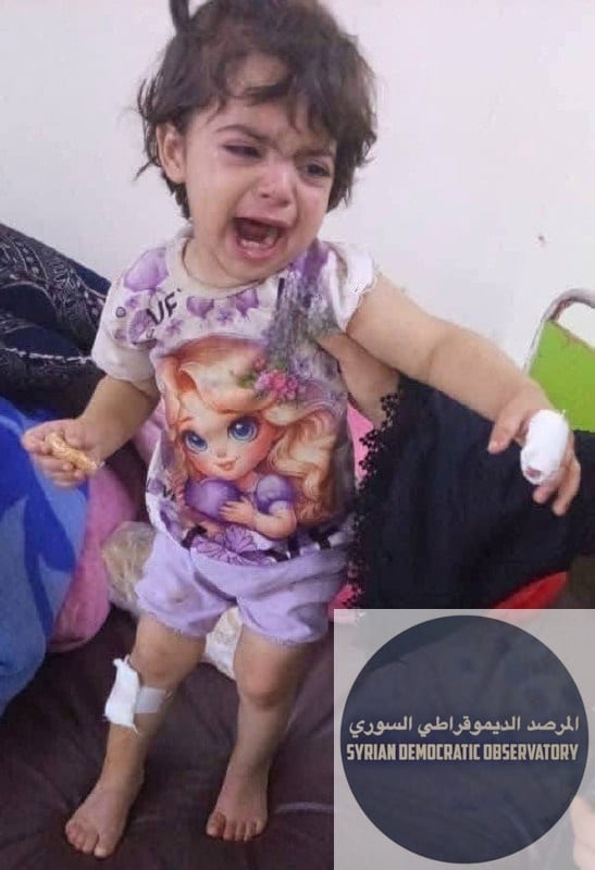 مجموعة إرهابية تنفذ هجوماً على عائلتين في تدمر