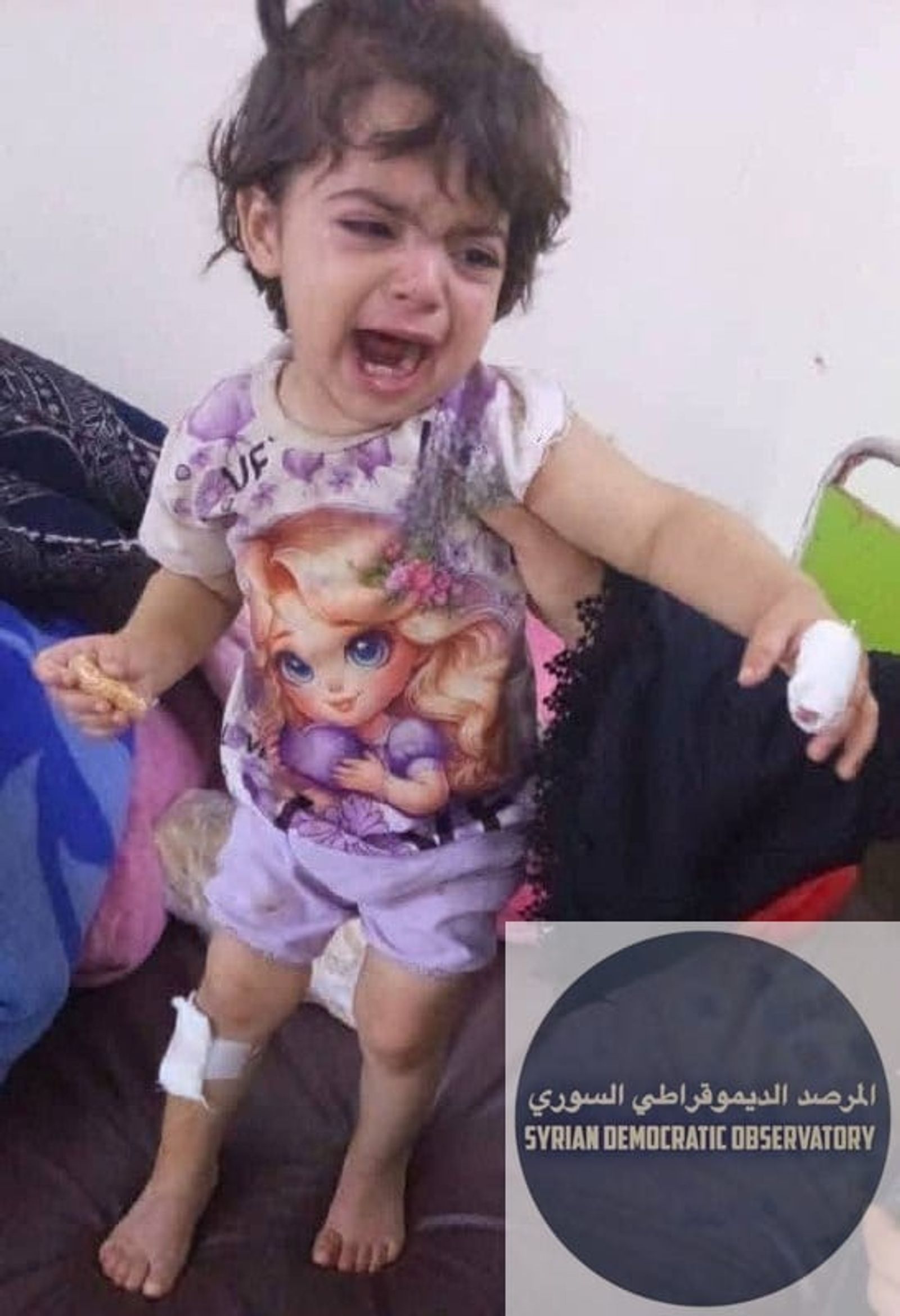 مجموعة إرهابية تنفذ هجوماً على عائلتين في تدمر