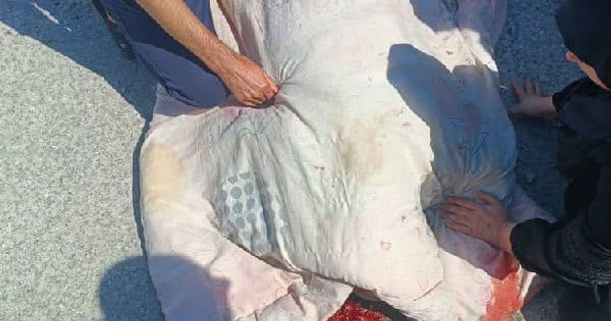 استشهاد مدني اعزل شيعي على اساس طائفي في ريف حمص