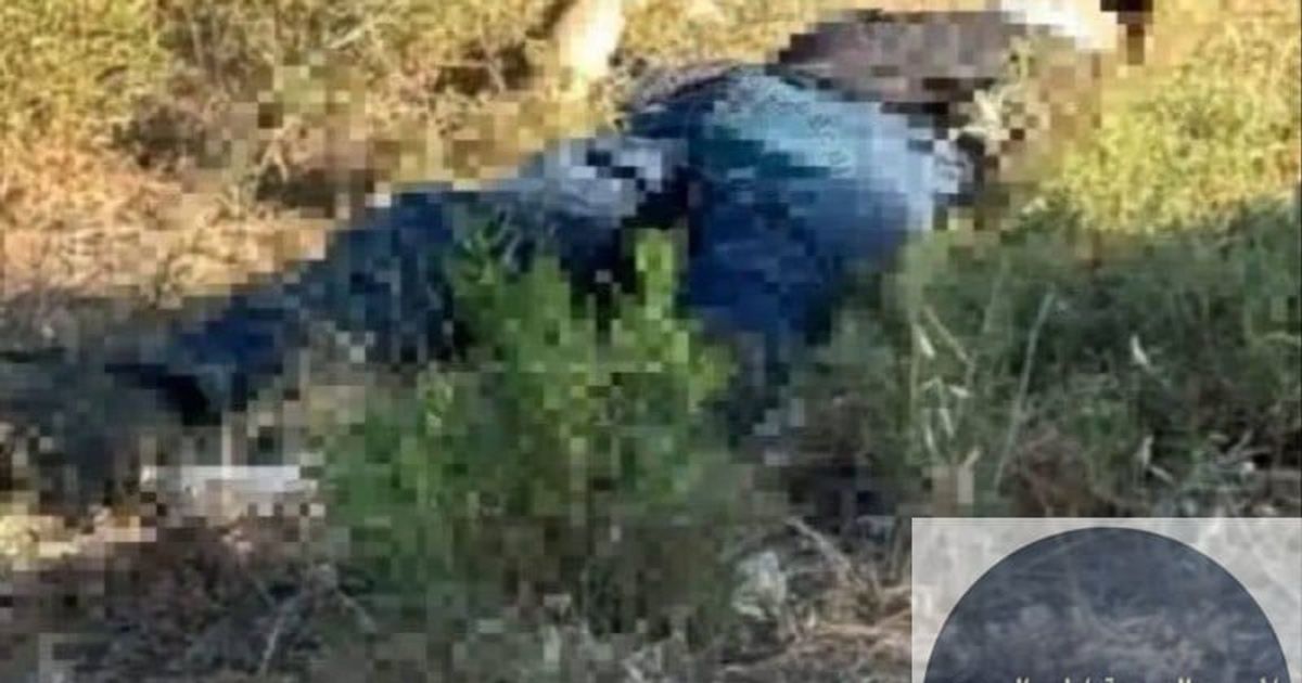 العثور على جثمان رجل علوي في منطقة الكورة بلبنان