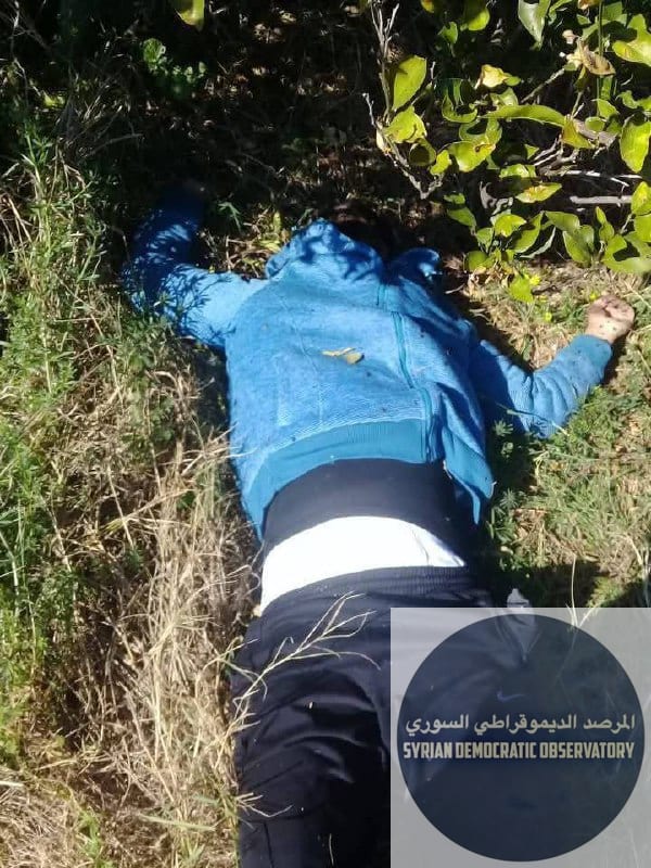 بدون عنوان