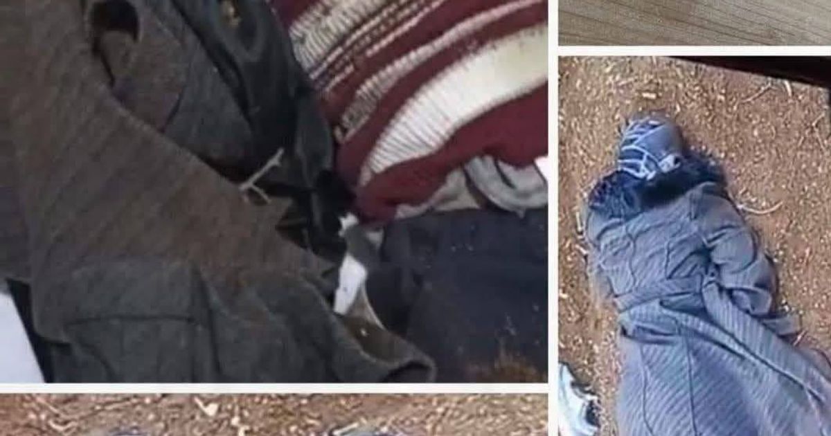 استشهاد أربعة نساء كورديات في مناطق سيطرة نظام الجولاني الإرهابي
