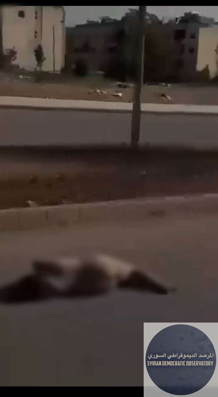 حلب : مقطع فديو متداول على وسائل التواصل الاجتماعي حول العثور على امرأة مقتولة وعارية ومرمية في أحد الطرقات العامة في منطقة الحمدانية.