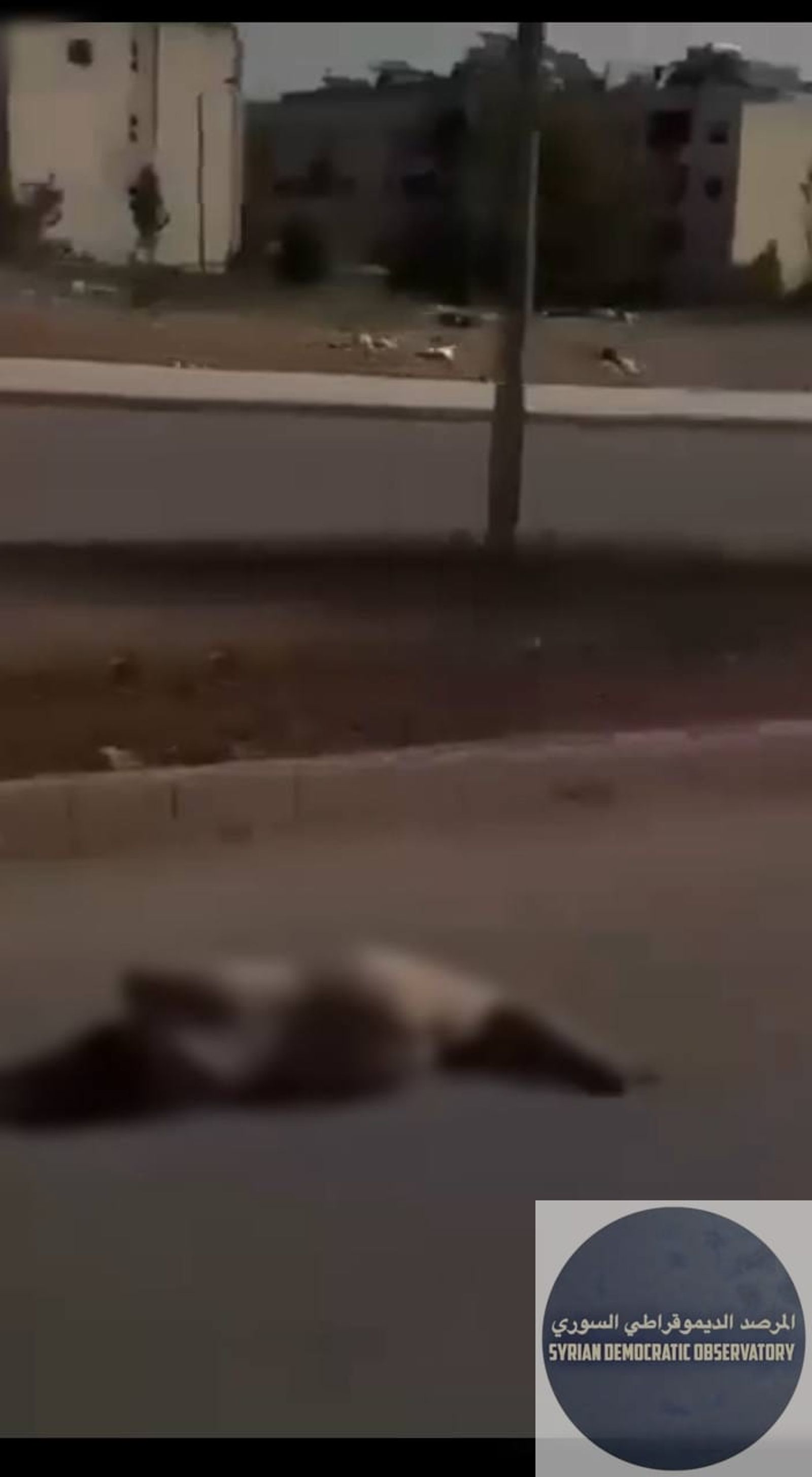 حلب : مقطع فديو متداول على وسائل التواصل الاجتماعي حول العثور على امرأة مقتولة وعارية ومرمية في أحد الطرقات العامة في منطقة الحمدانية.