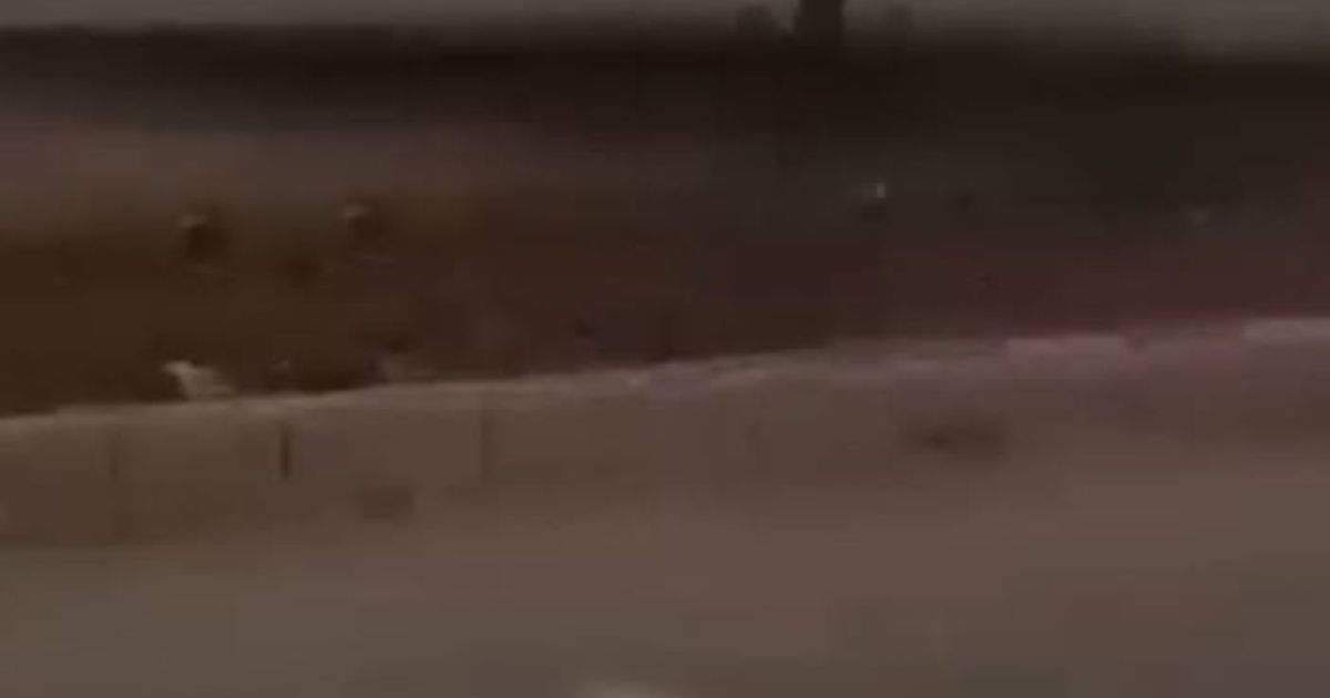 حلب : مقطع فديو متداول على وسائل التواصل الاجتماعي حول العثور على امرأة مقتولة وعارية ومرمية في أحد الطرقات العامة في منطقة الحمدانية.