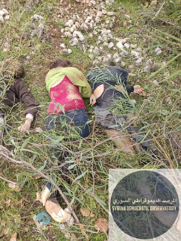 HTS militants murdered an entire family
