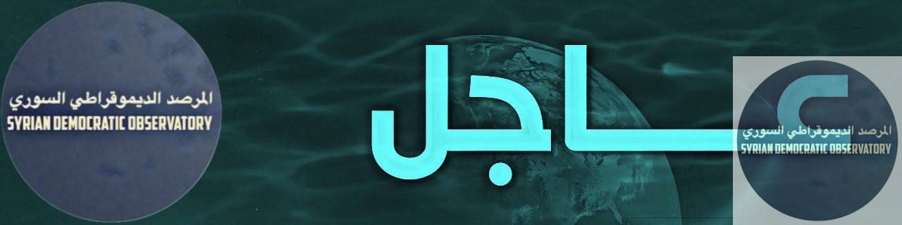 قدّمت الطائرات المسيّرة التركية من طراز بيرقدار دعماً جوياً لهجمات فصائل دمشق على قرى الجلبية وخراب عشك وزرِك جنوب شرق مدينة كوباني، حيث نفذت تلك الطائرات قصفاً مكثفاً استهدف القرى المذكورة.