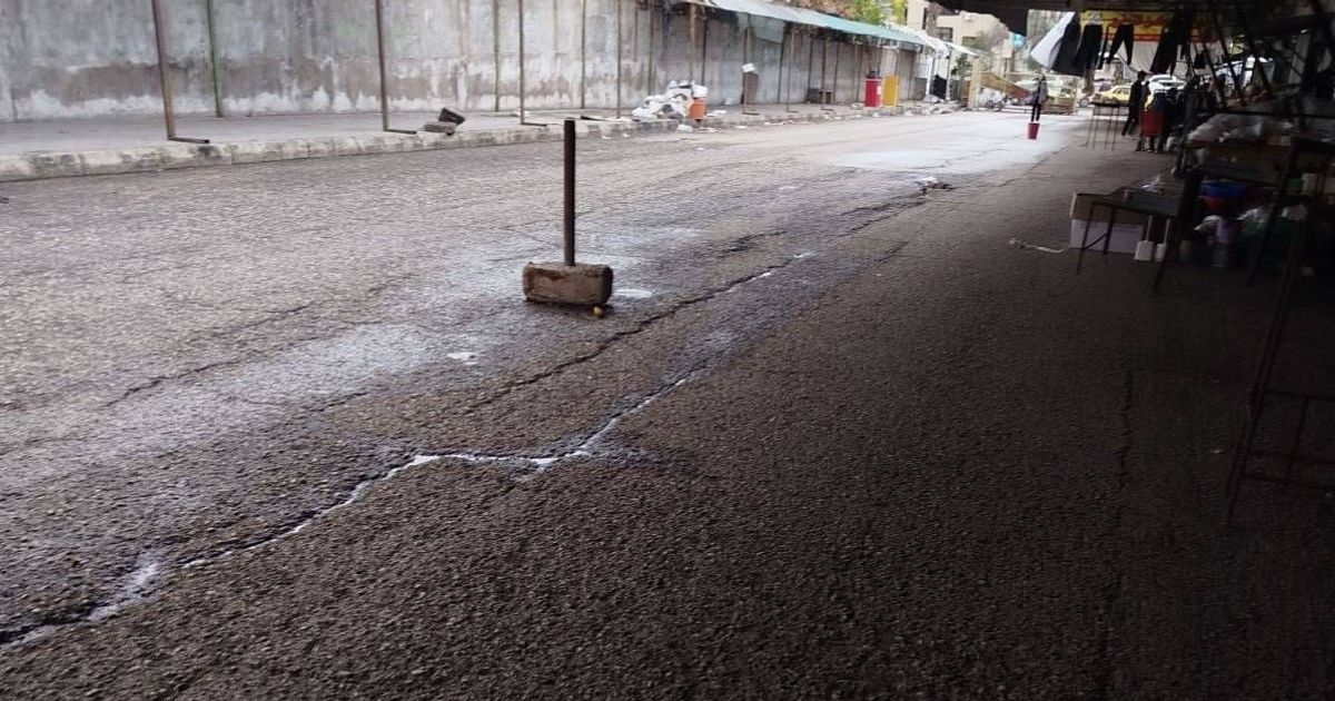 طرطوس، جبلة، القرداحة، اللاذقية