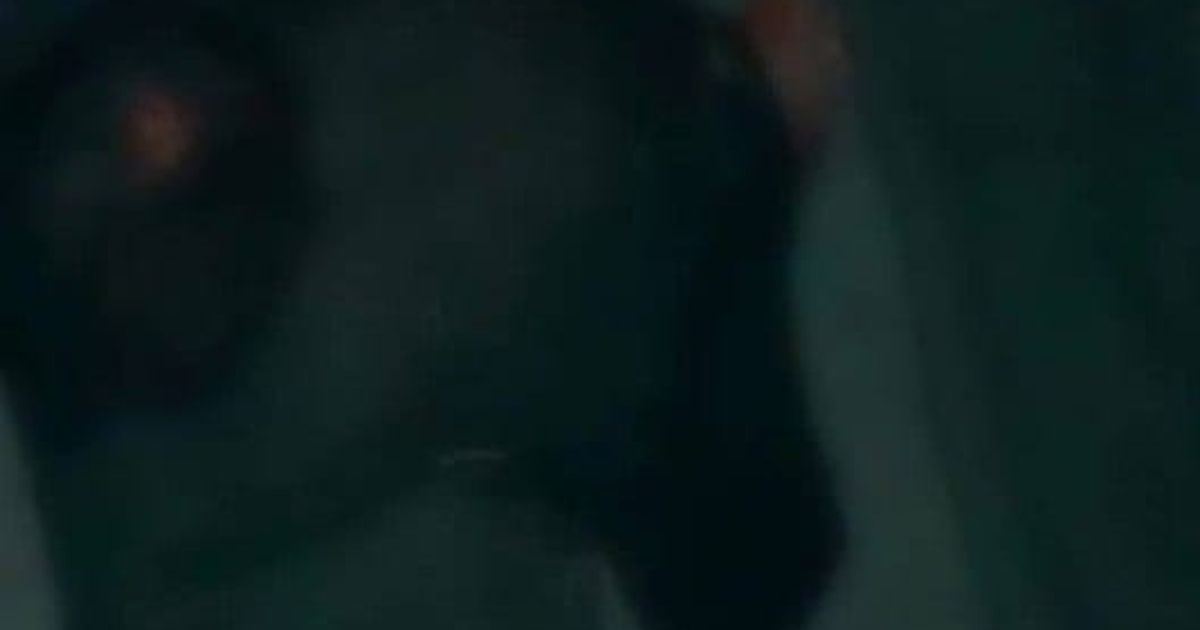 استشهاد شاب علوي في ريف جبلة متأثراً بجراحه