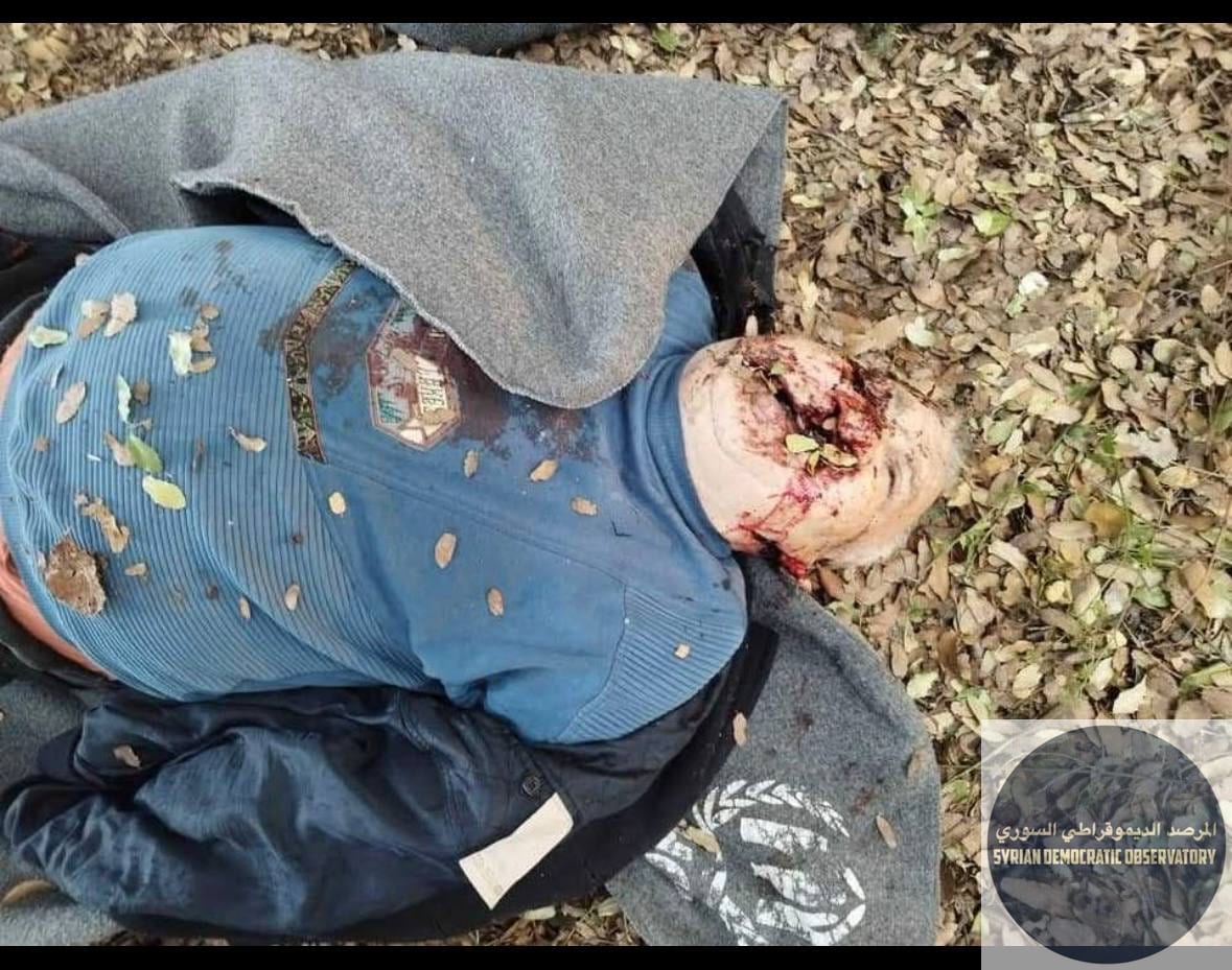 Bodies of innocent , including elderly individuals, have been found after being executed in the forests where they had sought refuge.