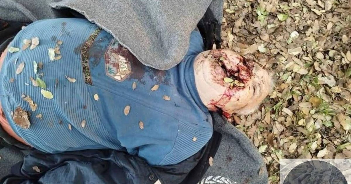 Bodies of innocent , including elderly individuals, have been found after being executed in the forests where they had sought refuge.