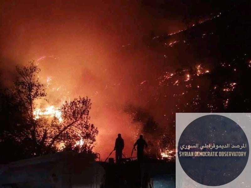 استمرار اندلاع الحرائق المفتعلة من قبل نظام الجولاني في غرب سوريا