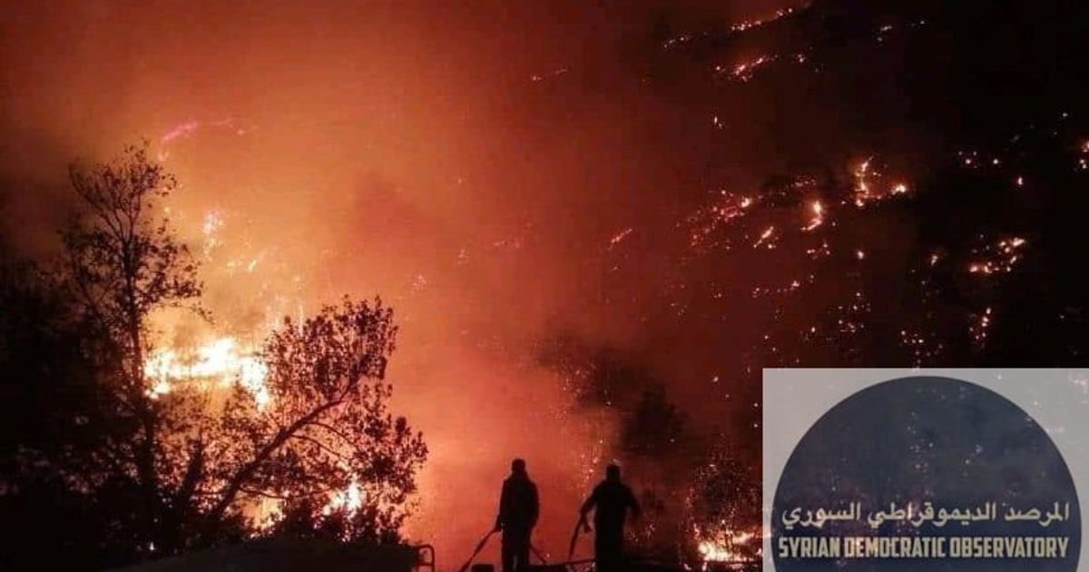 استمرار اندلاع الحرائق المفتعلة من قبل نظام الجولاني في غرب سوريا