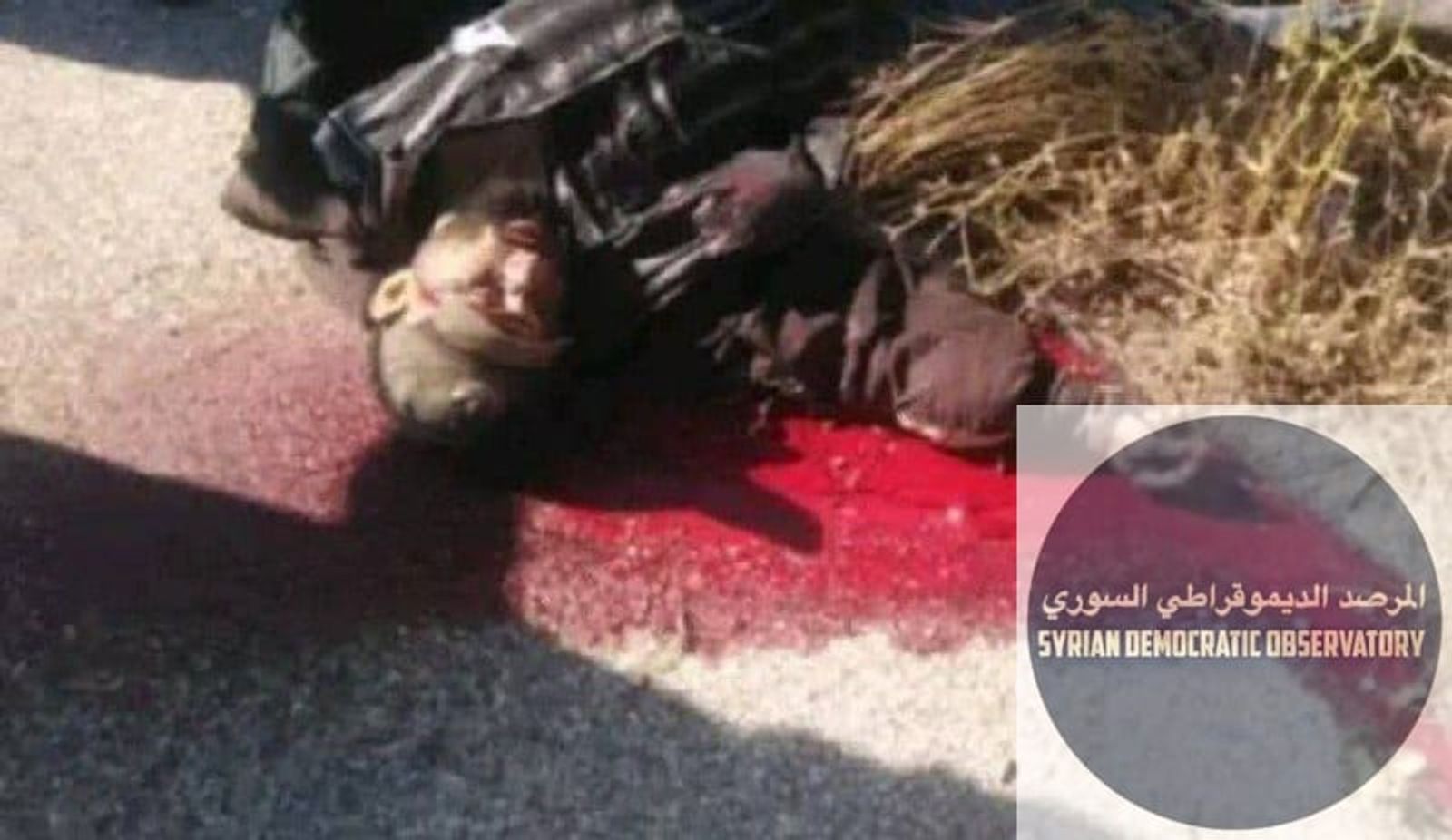 ريف جبلة: صورة جثمان الشهيد الثاني الذي قتل صباح اليوم من الأمن العام الجهادي