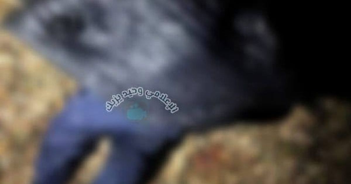 مقتل 3 شبان على الأقل في قرية عين الشمس، ريف ، على يد ميليشيا الجولاني بعد إطلاقهم حملة طائفية في القرية يوم أمس وهم: