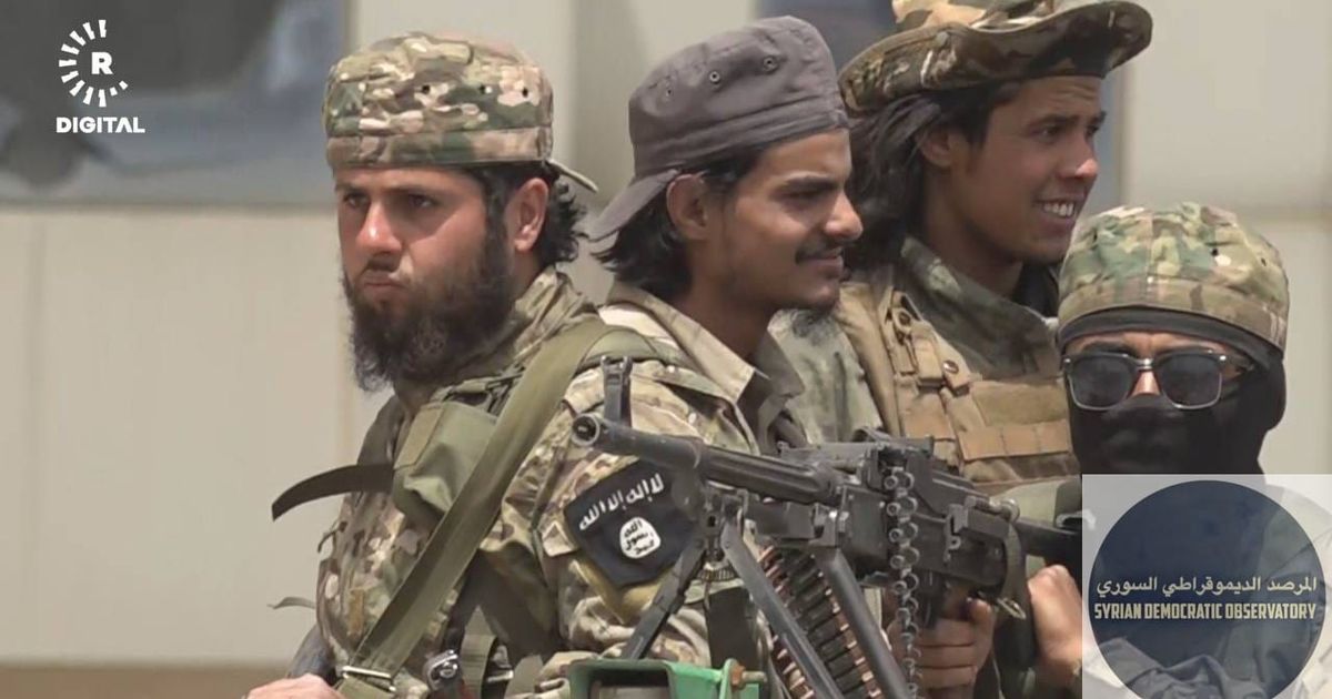 🇸🇾 نظام الجولاني يدفع بمقاتلين يرفعون أعلام داعش لمقاتلة الدروز في .