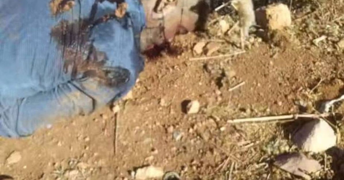 استشهاد طبيب علوي برصاص الأمن العام الجهادي