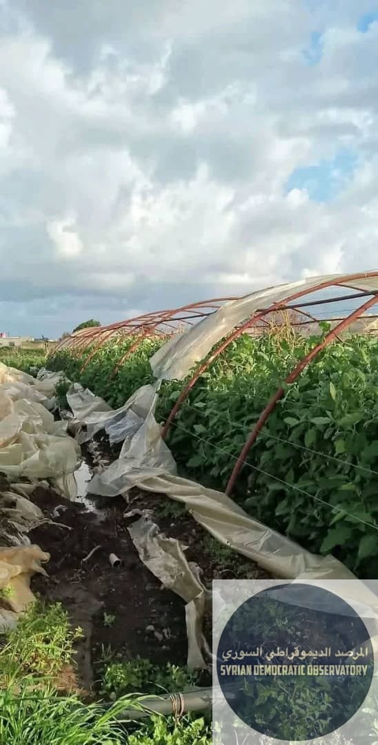 مجهولون يستهدفون البيوت البلاستيكية في الدكيكة بمنطقة عكار